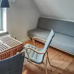 Pet Friendly In With Sauna